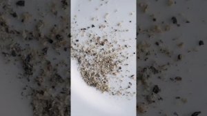 Электрическая гравитационная мельница для специй с подсветкой/ батарейки в подарок, АТМАН