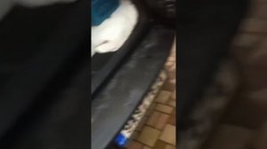 RAV4 проседание задней двери