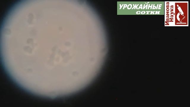 Биопрепараты своими руками. Нет предела совершенству.