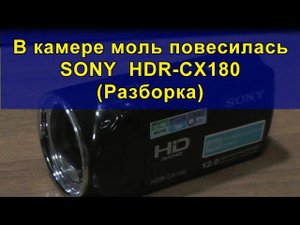 В камере моль повесилась SONY HDR-CX180 (Разборка). Butterfly in SONY HDR-CX180 camcorder.