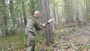 Как готовят дрова для костра в тайге, часть 1