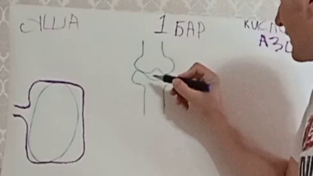 курсы дайвинга. декомпрессионная болезнь. обучение дайвингу. ныряние с аквалангом.