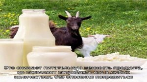 Козья сыворотка