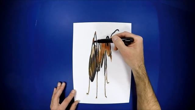 3D РИСУНОК МУРАВЬЯ | КАК НАРИСОВАТЬ 3D МУРАВЬЯ НА ОБЫЧНОМ ЛИСТЕ БУМАГИ | DIY смотреть онлайн