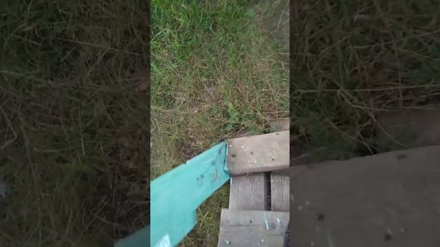 13 сентября 2020 г. смотреть онлайн