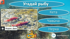 Тест Рыбы России и Евразии. Онлайн игра-викторина 'Угадай рыбу!' для детей, школьников и взрослых
