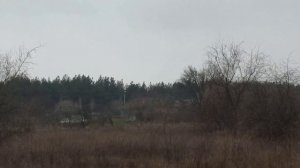 7 февраля день ГРИГОРИЯ БОГОСЛОВА . народные приметы и традиции