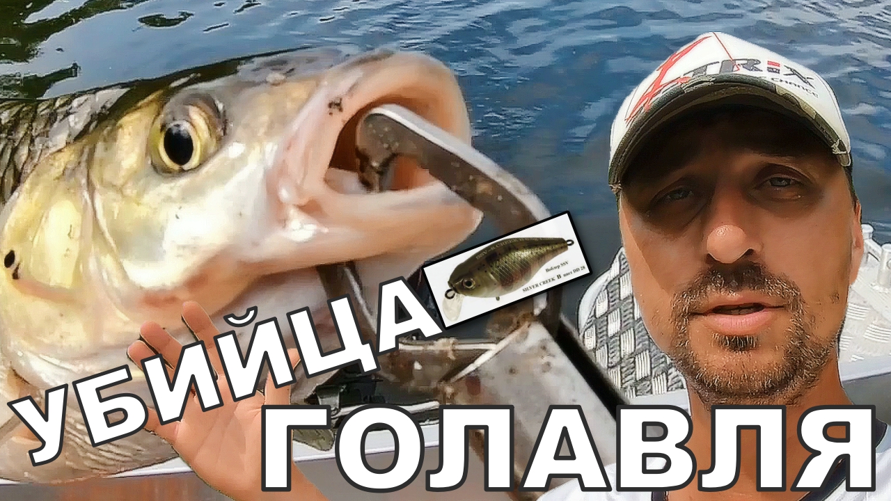 Как поймать голавля и не только??? Ловля на кренки смотреть онлайн