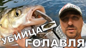 Как поймать голавля и не только??? Ловля на кренки