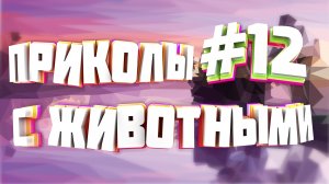 Пять минут смеха | Приколы с животными | Приколы угары | Засмеялся подписался #12