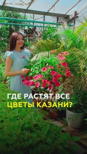 Казань в цветах: кто и как создает красоту и озеленение в городе?
