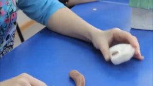 Арт позитив. Домик из полимерной глины