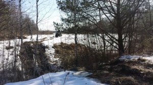 sagitta orso 200 и cfmoto x8