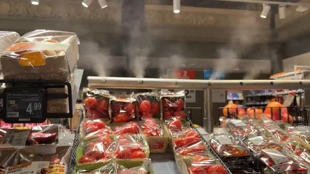 Каналы Амстердама I прогулка и экскурсия