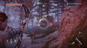 Horizon Zero Dawn / Огневолк