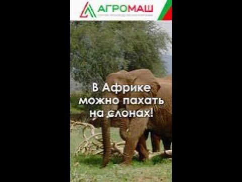 Можно пахать на слонах? #агромаш #мт-110 #минитрактор