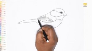 Chickadee bird drawing easy 02 | How to draw A Chickadee / Tit bird drawing step by step | art jana