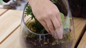 How to Make a Terrarium // Garden Answer