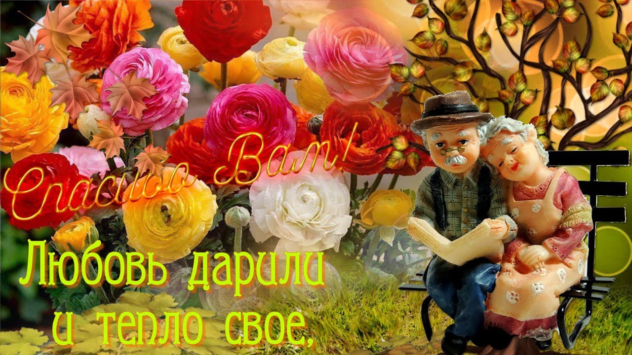 С Днем Пожилого Человека! Красивое Поздравление -1 октября?
