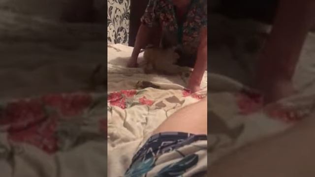 Привезли из "роддома" первый день! смотреть онлайн