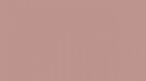 Pink-brown color #BC8F8F HD Розово-коричневый цвет