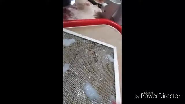 Amway смог отмыть фильтр от вытяжки смотреть онлайн