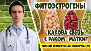 ФИТОЭСТРОГЕНЫ и риск РАКА МАТКИ. Важнейшие факты от врача-онколога.