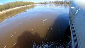 Рыбалка, река Урми, май 2021