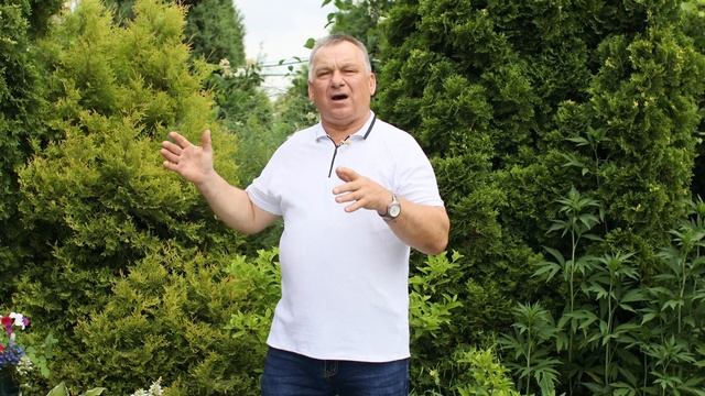 Обзор дачных работ с 1 по 7 июля. Еженедельник Дача Без Проблем