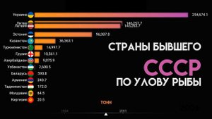 Страны бывшего СССР по улову рыбы.Рыбный промысел в странах СНГ и СССР.Инфографика.Статистика