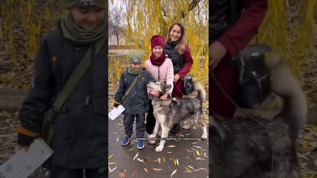 Что такое приют? #собаки #донецк #приютдлясобак