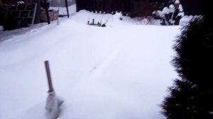 На белом белом покрывале января....