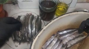 Шпроты по-домашнему. Готовим шпроты из мойвы.