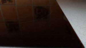 Bosch PKN651 F17. Обзор стеклокерамической варочной панели Bosch PKN651F17. Ceramic review