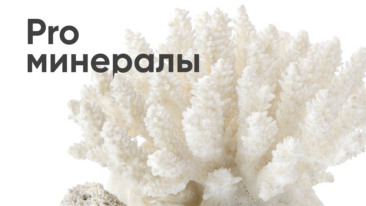 Прямой эфир «PRO минералы»