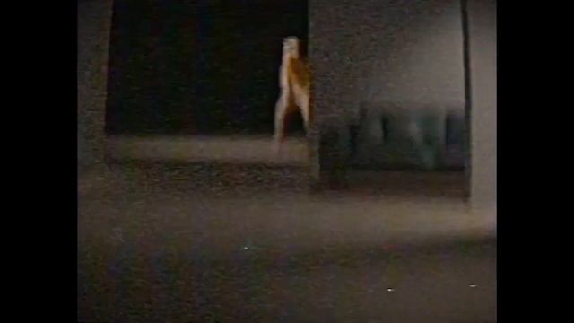 "УДИВИТЕЛЬНЫЙ ЦИФРОВОЙ ЦИРК" лучший веб мульт ютуба - КИНО ЗАДРОТ смотреть онлайн