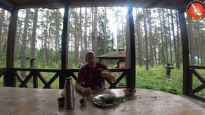 Гриб Зонтик  Деликатес "Лесная курятина" Энергетическое Питание Система Оздоровления Старова