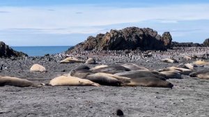 Антарктида / Первая высадка на Землю / Антарктика 2023