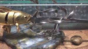 История одного экспоната: музейная «Золотая рыбка»