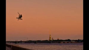 Малая антология бардовской песни. Михаил Щербаков. Мотор подъехал.