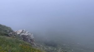 Ноев ковчег. Открытие века. Марат Макажо и факты