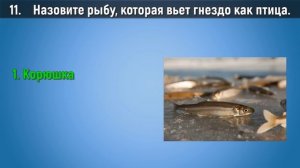 Тест на ШКОЛЬНЫЕ ЗНАНИЯ. 21 вопрос на образованность по школьной программе