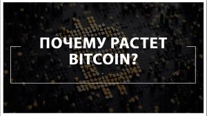 Почему растет Bitcoin (биткоин)