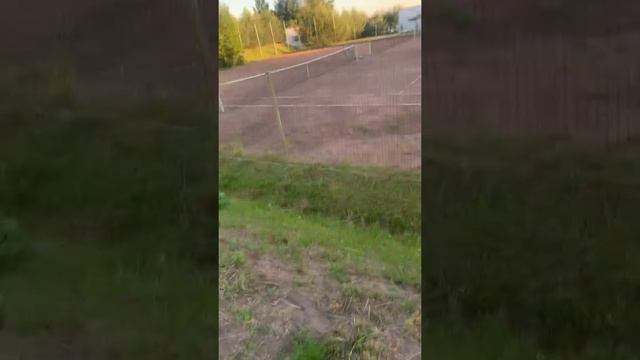 РумТурчик эко отеля «Веточка» смотреть онлайн