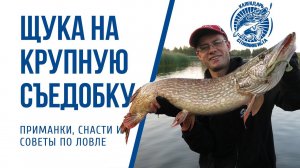 Ловля щуки на крупную съедобную резину