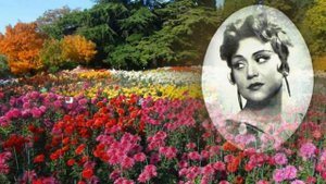 "Хризантемы"  --  Галина Карева (Романс).