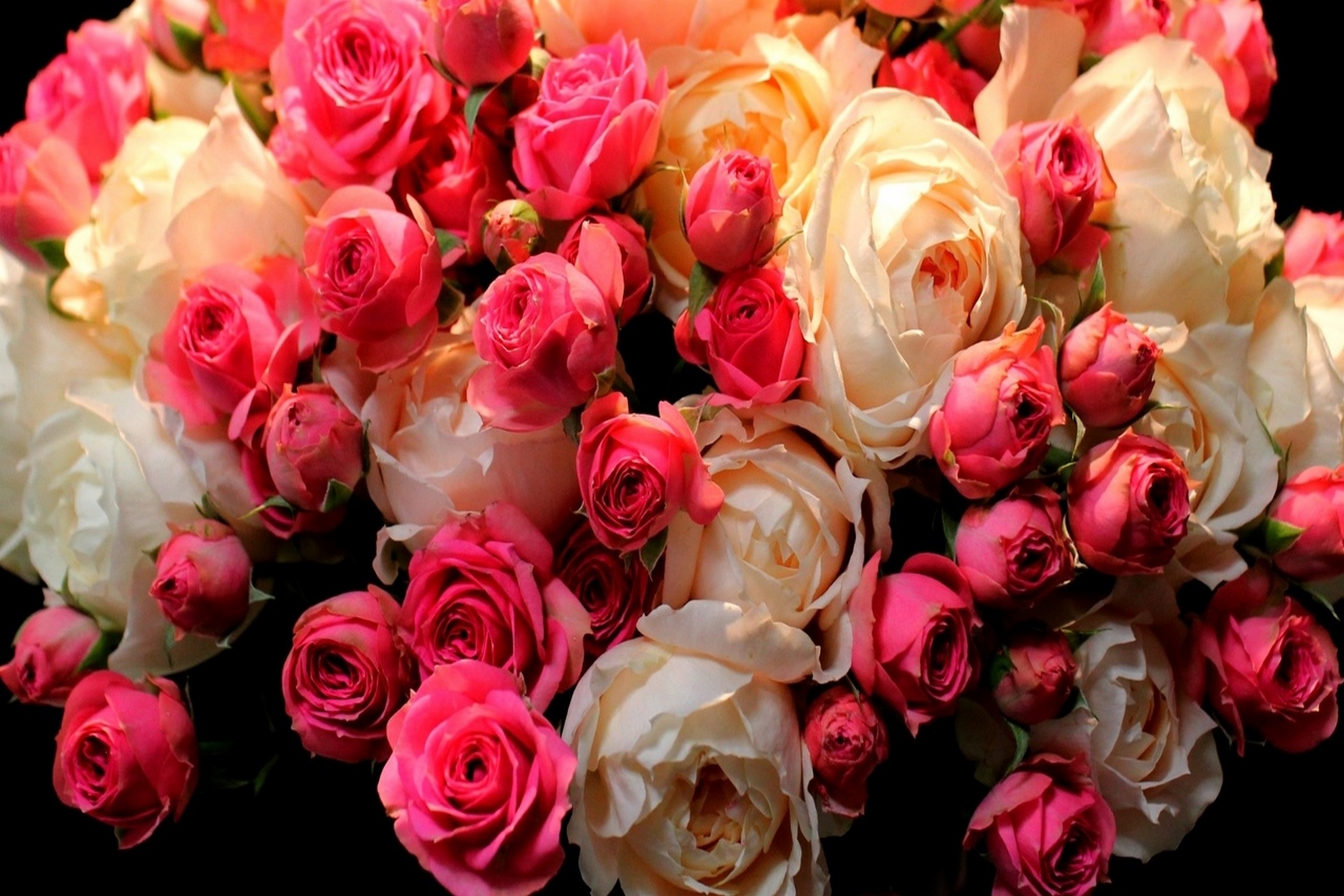 Большие розочки. Букет шикарный. Шикарный букет роз. Яркие розы. Огромный букет цветов.