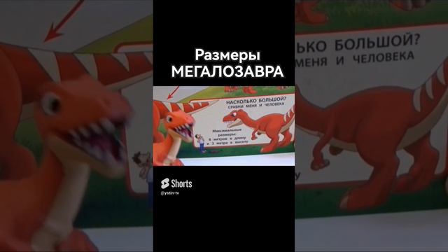 Каковы размеры динозавра Мегалозавра_ #shorts 🦖🦕