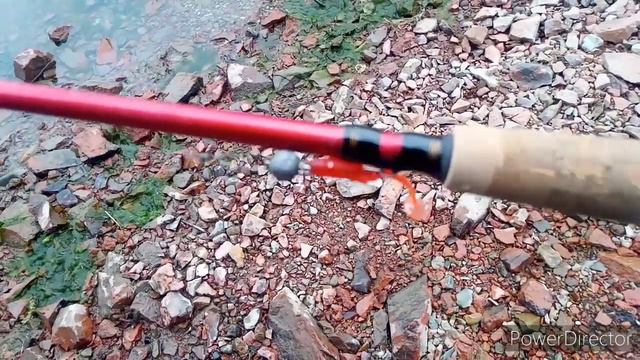 1 мая 2020 г. Самоизоляция! смотреть онлайн