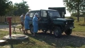 Очередной случай бешенства. Ветеринары прививают домашних животных